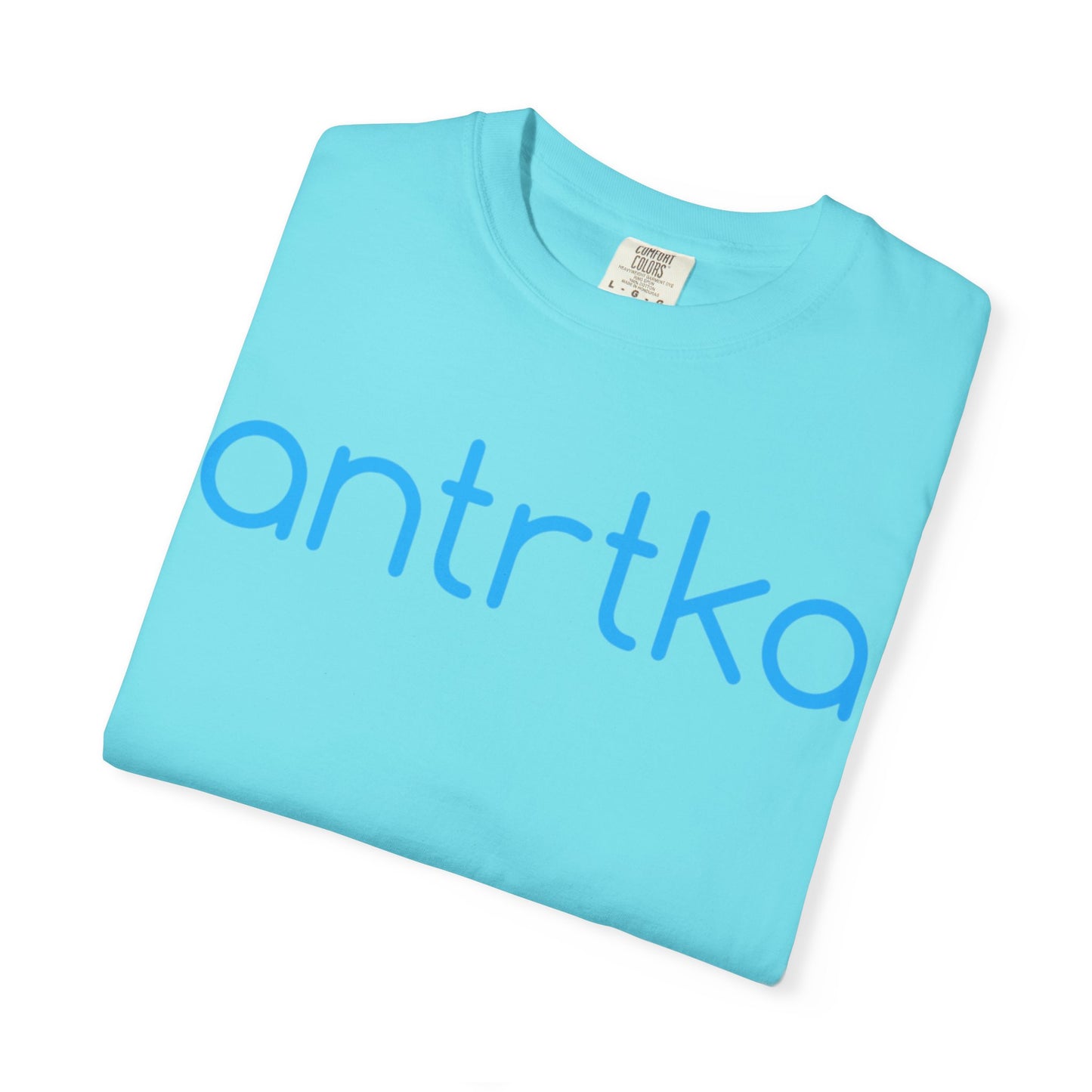 Unisex Garment-Dyed T-shirt "Protect" Our Parks RANGER DANGER Streetwear