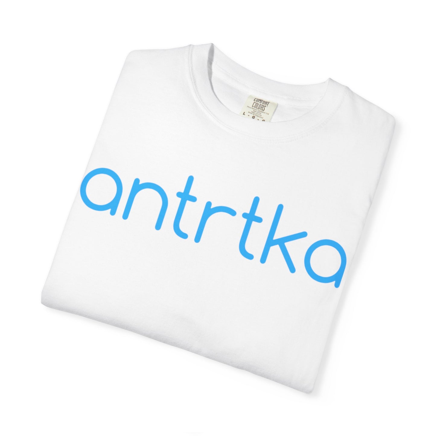 Unisex Garment-Dyed T-shirt "Protect" Our Parks RANGER DANGER Streetwear