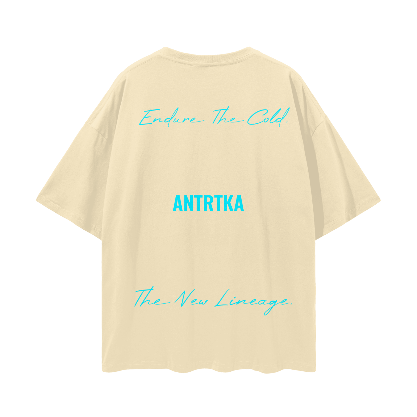 Streetwear Loose Drop Shoulder T-Shirt